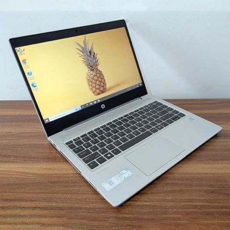 HP PROBOOK 445R G6